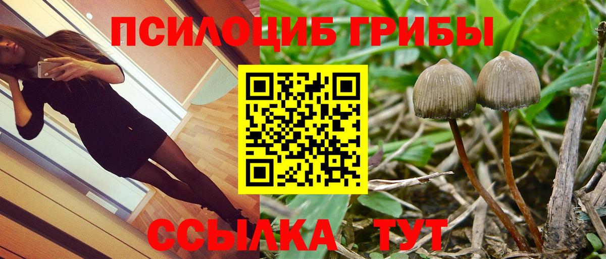 Воронеж  Галлюциногенные грибы GOLDEN TEACHER  Вход с VPN 